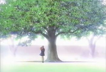Shiori et l'arbre de la légende, dans l'OAV 1...